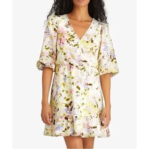 Sanctuary Picture Perfect Dress‎ Size 10 Richmond Gardens Linen Blend Lined NWT